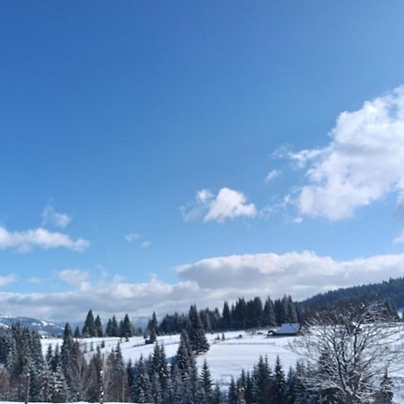 Casa Vasy ξενώνας Vatra Dornei Εξωτερικό φωτογραφία